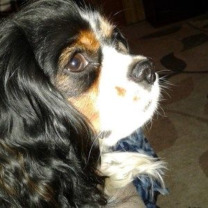 Meet your Posher, Patricia